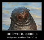 Оля Головашкіна фотография #38 (источник - https://vk.com/id8498135)