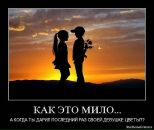 Даша_ Smile_in_rain фотография #47 (источник - https://vk.com/id69800007)