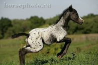 ♦ĐÃ®•Ķ ♦ фотография #50 (источник - https://vk.com/id134963660)