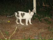 Фотография Скрипкина Леонида