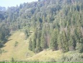 Ростислав Підгірний фотография #18 (источник - https://vk.com/id91813221)