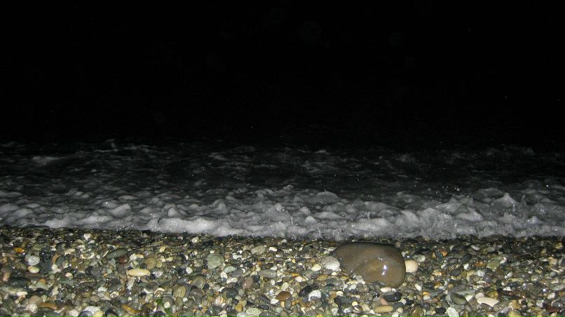 Александр Постников фотография #36