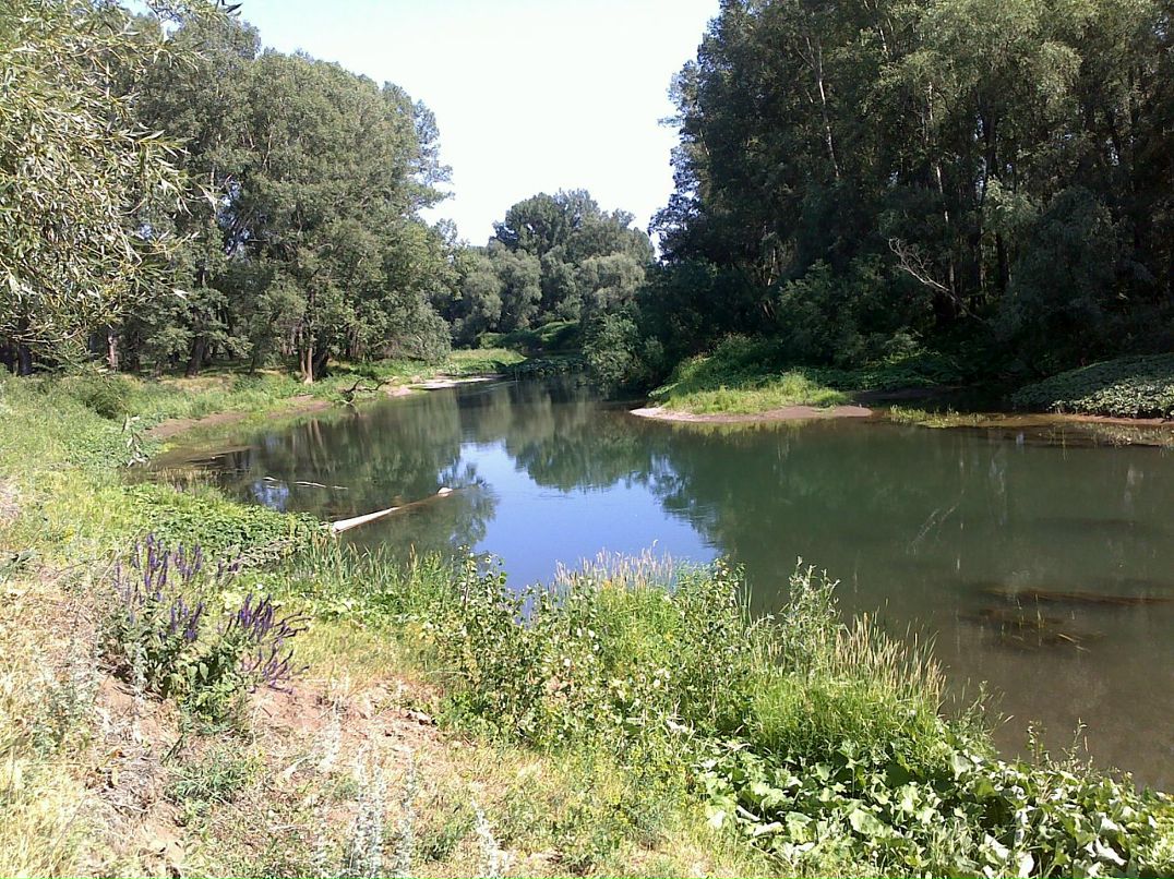 Галина Ильина фотография #23