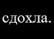 Іра Штундер фотография #14 (источник - https://vk.com/id110385103)
