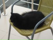 Фотография Касаткина Макса