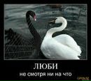 Фотография Таня Кусенкова