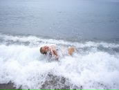 Фотография Шадриной Светланы