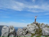 Фотография Титова Стаса