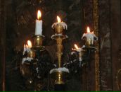 Фотография Руденко Екатерины