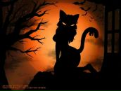 Фотография Мушавкиной Алёнки