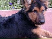 Міша Мостовий фотография #28 (источник - https://vk.com/id9774171)