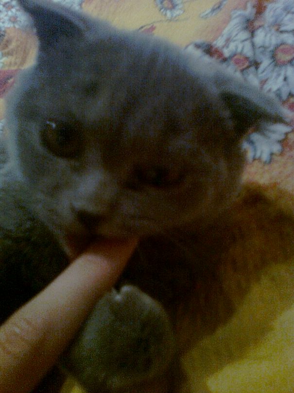 Марина Ермоченко фотография #4
