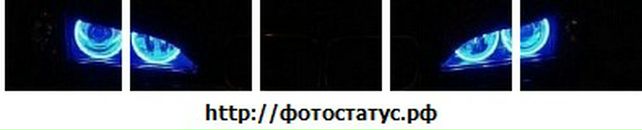 Віталій Плакса фотография #38 (источник - https://vk.com/id22227910)