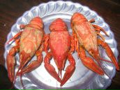 Андрій Кухарчук фотография #46 (источник - https://vk.com/id55344657)