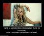  фотография #38