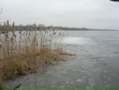 Антон Кропачев фотография #27 (источник - https://vk.com/id2206468)