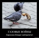 Інна Ярош фотография #37 (источник - https://vk.com/id134978498)