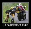 Олександр Коліс фотография #35 (источник - https://vk.com/id87375678)