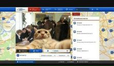 Стэфанія Кавалеуская фотография #14 (источник - https://vk.com/id5594413)