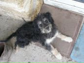 Ігор Завгородній фотография #6 (источник - https://vk.com/id27050164)