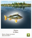 Діма Погребний фотография #38 (источник - https://vk.com/id136257164)