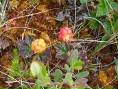 Фотография Бертыш Юлии