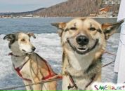 __pasha__ _____ фотография #26 (источник - https://vk.com/id77346944)