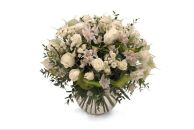 Фотография Wolk Polly