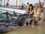 Світлана Василенко фотография #17 (источник - https://vk.com/id19166044)