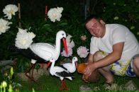 Фотография Железкина Николая