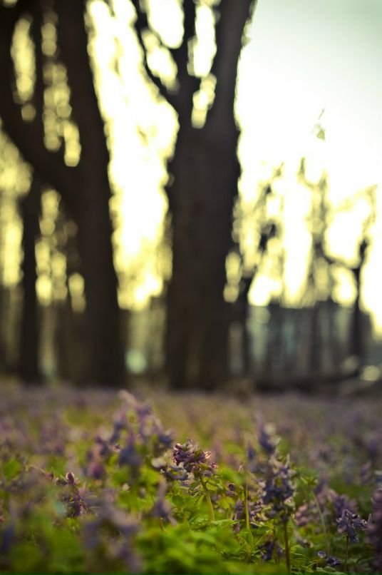 Николай Лычко фотография #47