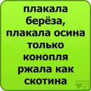 Ліза Чеканьова фотография #38 (источник - https://vk.com/id132584397)