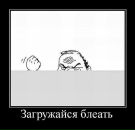 Junni :) фотография #23 (источник - https://vk.com/id141296253)