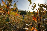 Фотография Фоминой Елены