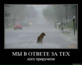 Олександр Кулініч фотография #47 (источник - https://vk.com/id55456883)