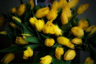 Фотография Хоменко Юлии