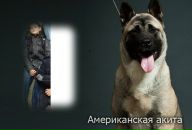 Віталій Швець фотография #26 (источник - https://vk.com/id133741092)