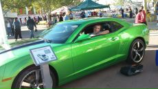 Фотография Spark Дениса