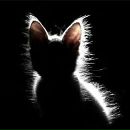 Фотография Савекиной Натальи