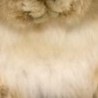 Анжеліка Мухіна фотография #43 (источник - https://vk.com/id146360800)