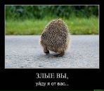 Фотография Дёмина Палпалыча