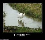 Дмитрий Исаков фотография #43 (источник - https://vk.com/id2902710)