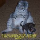 Василь Кіселюк фотография #34 (источник - https://vk.com/id108216553)