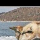 Андрій Баторик фотография #39 (источник - https://vk.com/id49054076)