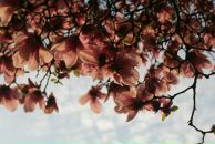 Фотография Чекучиновой Оксаны