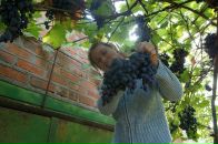 Фотография Кириченко Марии