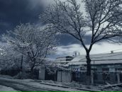 Евгений Савин фотография #37 (источник - https://vk.com/id5156621)