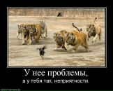 Саня Бублій фотография #44 (источник - https://vk.com/id83971884)