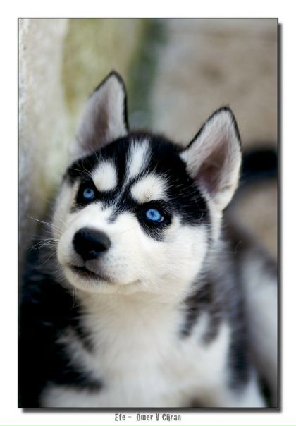 Иван Suspense фото №24