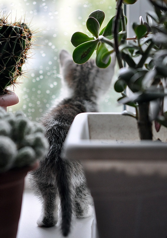 Andre Andre фотография #31